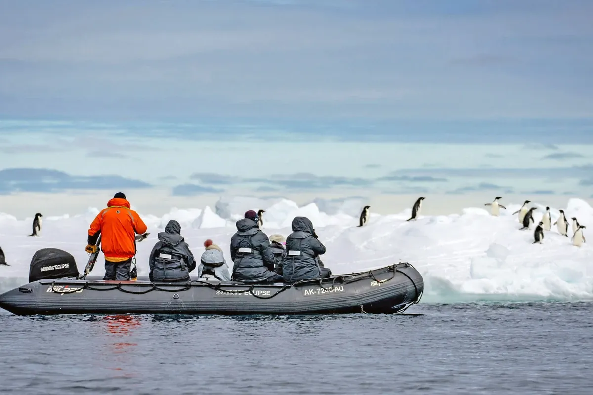 luxury-polar-cruises-scenic-eclipse-pinguins